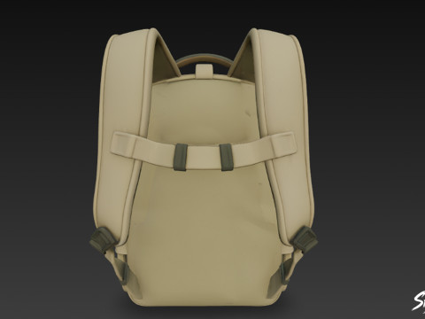 Zeytin Saldırısı Sırt Çantası 3D Model