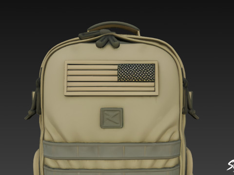 Zeytin Saldırısı Sırt Çantası 3D Model