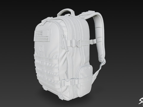 Zeytin Saldırısı Sırt Çantası 3D Model