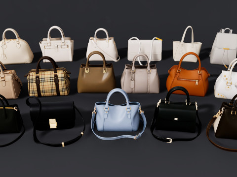 여성용 가방 팩 3D 모델