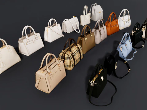 Damen-Taschenpaket 3D Modell