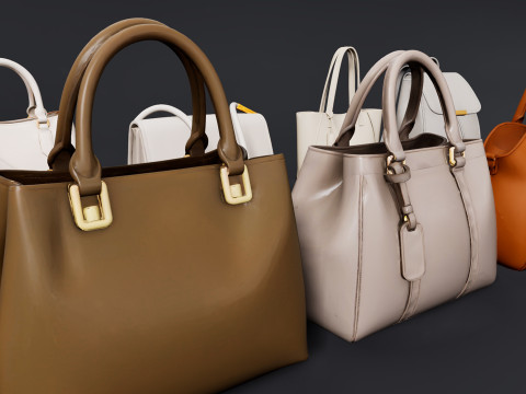 여성용 가방 팩 3D 모델