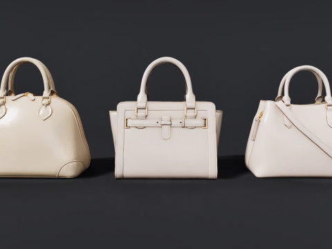 여성용 가방 팩 3D 모델