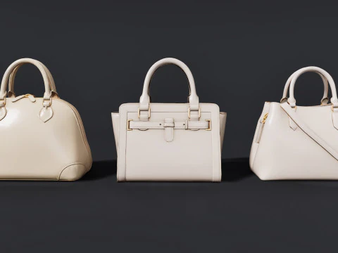 Damen-Taschenpaket 3D Modell
