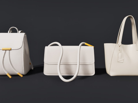 여성용 가방 팩 3D 모델