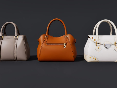 여성용 가방 팩 3D 모델