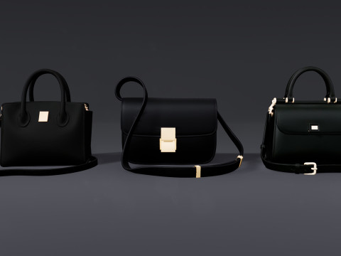 여성용 가방 팩 3D 모델