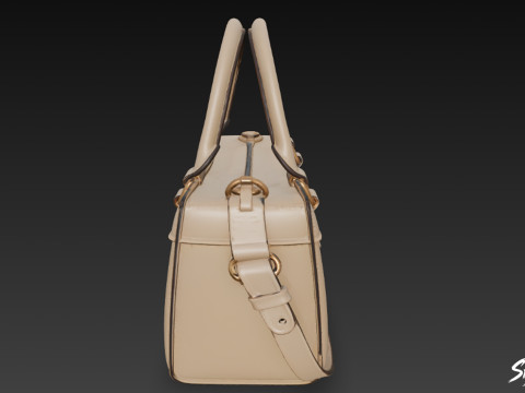 Бежева класична сумка 3D Модель