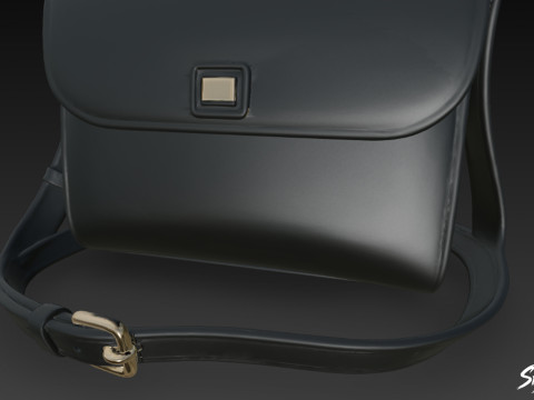 블랙 럭셔리 핸드백 3D 모델