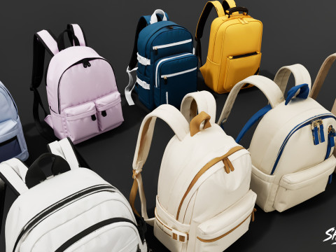 Günlük Sırt Çantası Paketi 3D Model