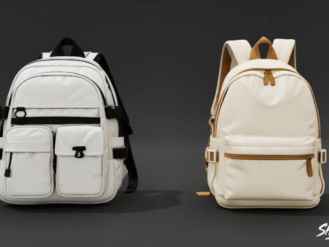 Günlük Sırt Çantası Paketi 3D Model