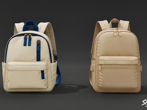 Günlük Sırt Çantası Paketi 3D Model