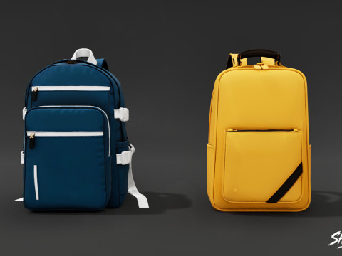 Günlük Sırt Çantası Paketi 3D Model