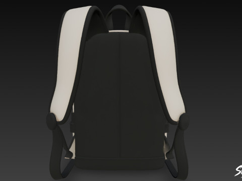 两色网状口袋背包 3D 模型