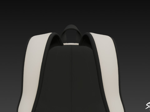 两色网状口袋背包 3D 模型