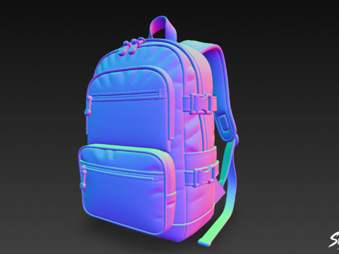 两色网状口袋背包 3D 模型