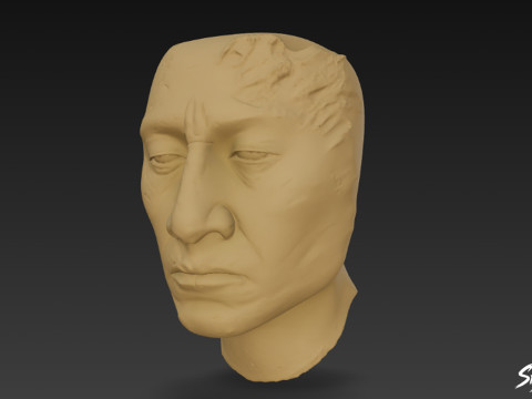 Sztukatywna głowa Palenque Model 3D