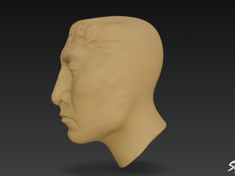 Stucco Head of Palenque 3D Model