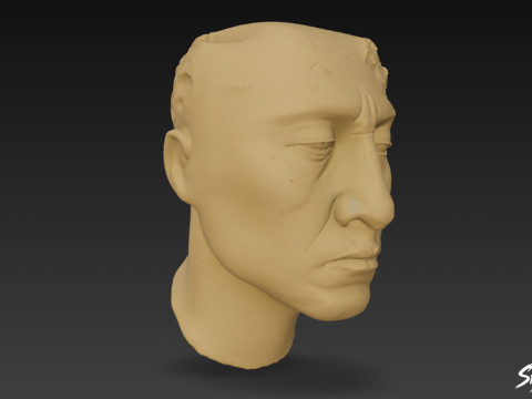 Stucco Head of Palenque 3D Model