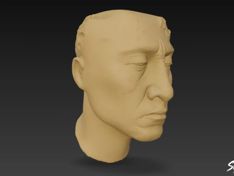 Stucco Head of Palenque 3D Model