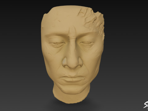 Stucco Head of Palenque 3D Model