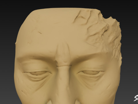 Stucco Head of Palenque 3D Model