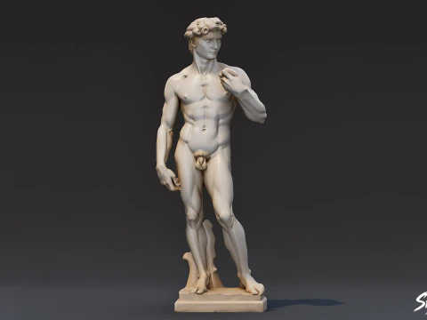 Statua del David Modello 3D