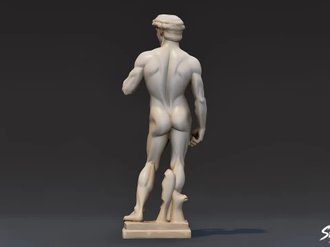 Statua del David Modello 3D