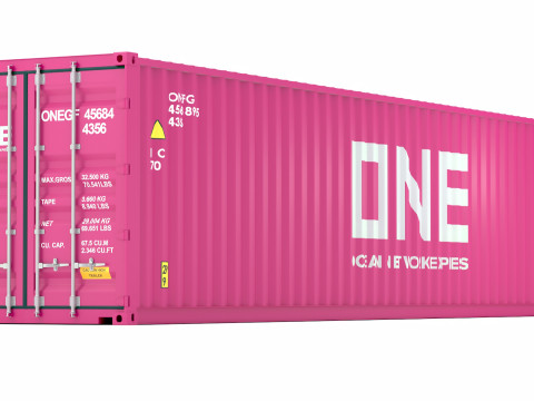 Один транспортный контейнер 3D Модель