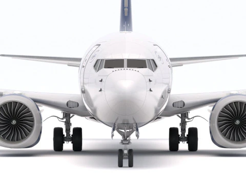 Boeing 737-800 MAX Delta Airlines 3D Model