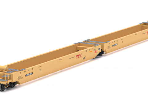 Çift Yığın Vagon TTX 3D Model