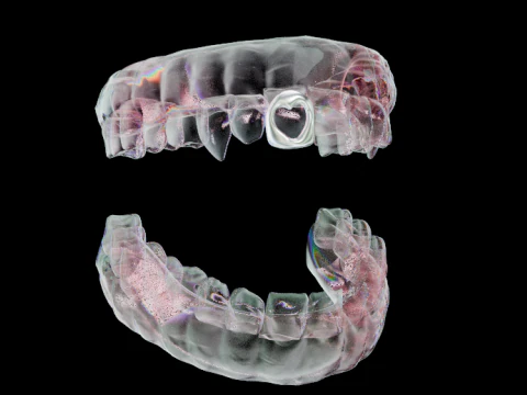 Dental arch 3D Model