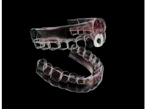Dental arch 3D Model