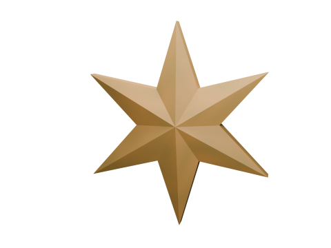 Christmas star 3D Model