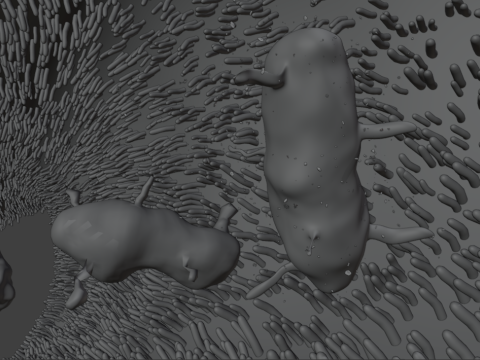Darmmicrovilli en bacteriën geanimeerd 3D Model