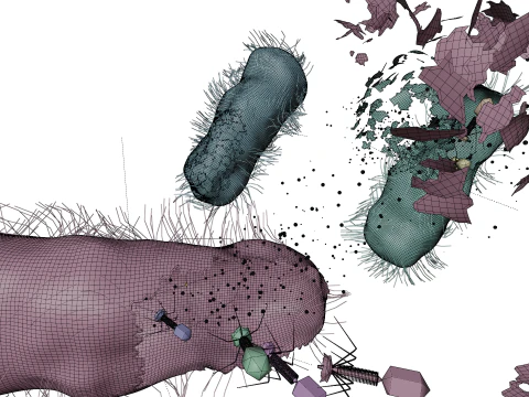 Dissolving bacteria animated 3D Model