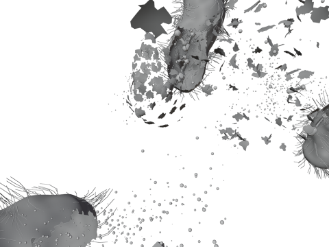 Geanimeerde bacteriën oplossen 3D Model