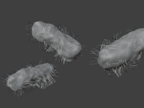 Geanimeerde bacteriën oplossen 3D Model