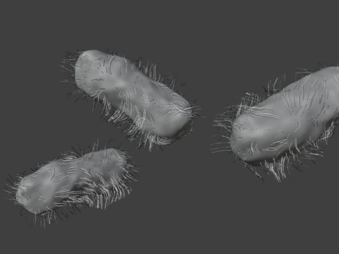 Dissolving bacteria animated 3D Model