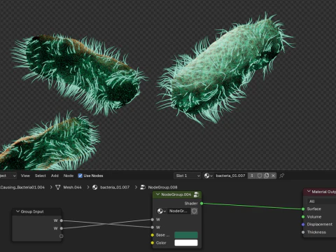 Dissolving bacteria animated 3D Model