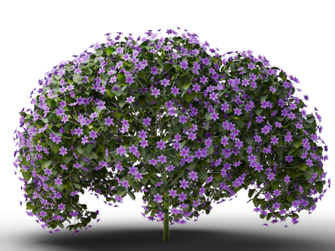 Mega 3D Flower Collection v1 3D Model