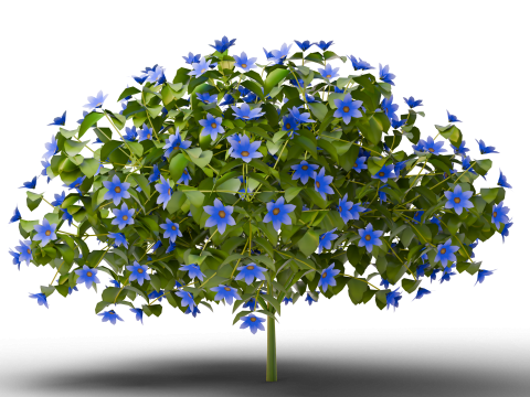 Mega 3D Flower Collection v1 3D Model