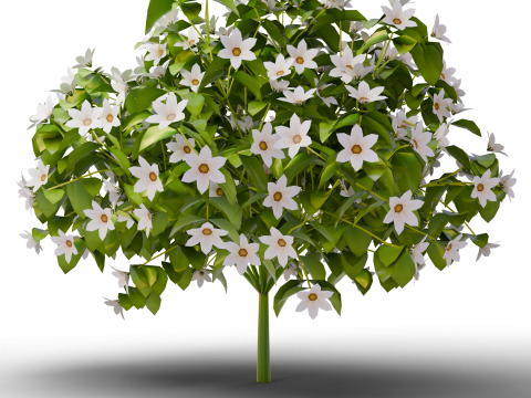 Mega 3D Flower Collection v1 3D Model