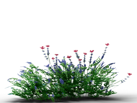 Mega 3D Flower Collection v1 3D Model