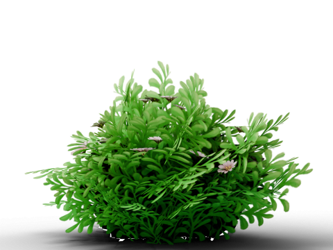 Mega 3D Flower Collection v1 3D Model