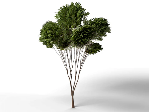 Pine tree combo pack game ready 3D Model