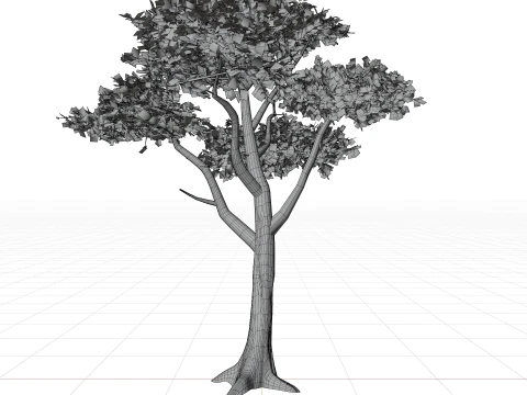 Pine tree combo pack game ready 3D Model