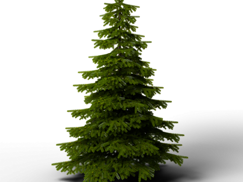 Jogo de pacote combo de pinheiro pronto Modelo 3D