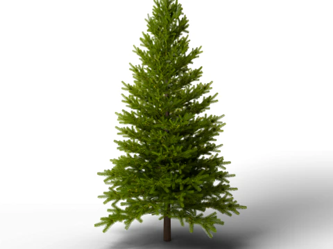 Pine tree combo pack game ready 3D Model