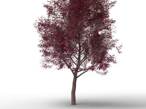 Grote herfstboomcollectie 3D Model